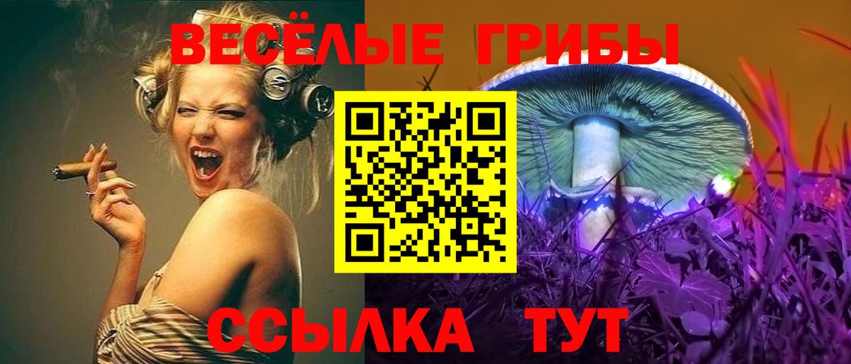 Галлюциногенные грибы Psilocybe Назарово