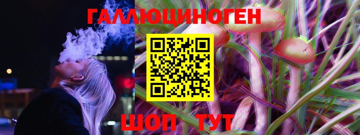 Псилоцибиновые грибы Psilocybine cubensis  Вход с VPN  Назарово 